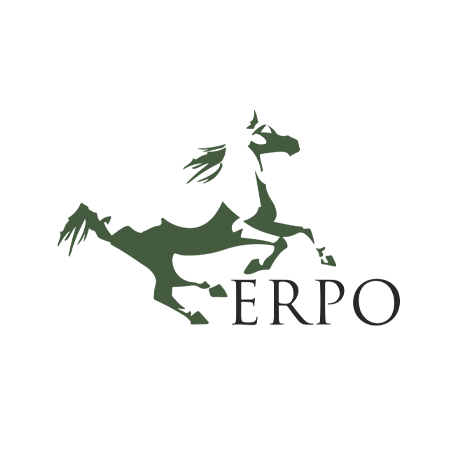 ERPO CONSULTORES Y ASESORES S.A.S.