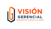 VISIÓN GERENCIAL ASESORIAS Y COBRANZAS S.A.S.