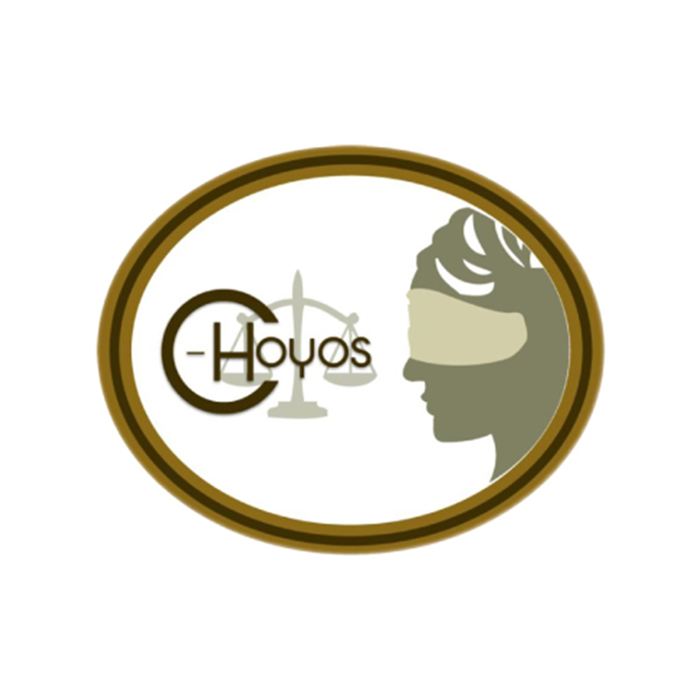CARLOS HOYOS ABOGADOS SAS